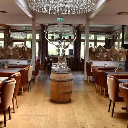 006 4*